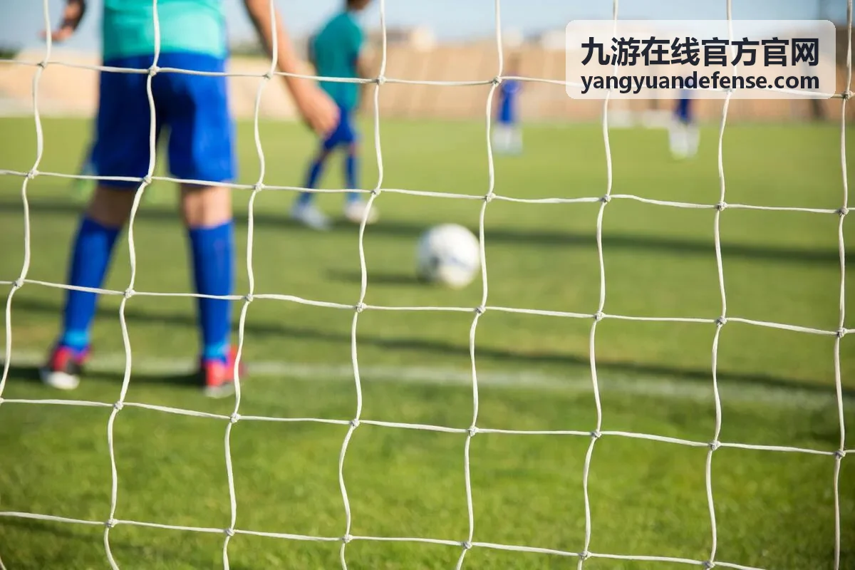 九游在线官方官网安全与隐私设置页面示意