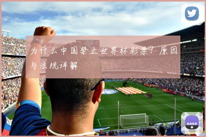 为什么中国禁止世界杯彩票？原因与法规详解