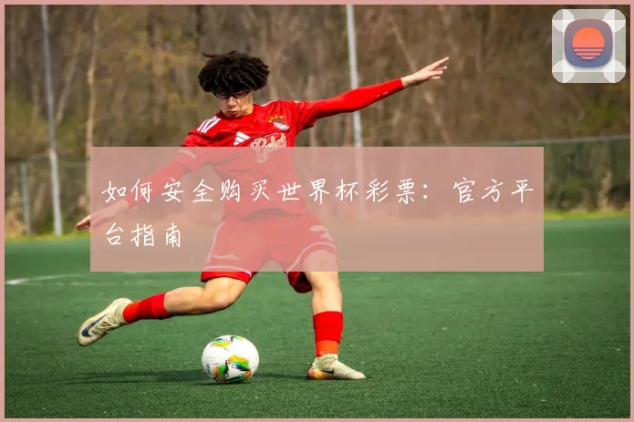 如何安全购买世界杯彩票：官方平台指南