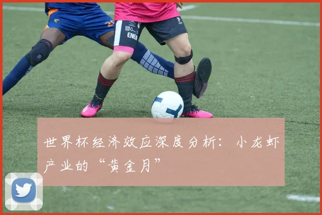 世界杯经济效应深度分析:小龙虾产业的“黄金月”