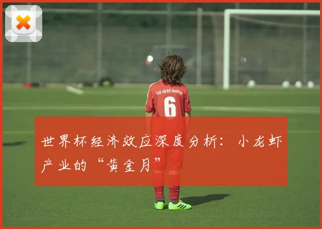 世界杯经济效应深度分析：小龙虾产业的“黄金月”